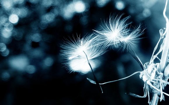 苹果a11纳米