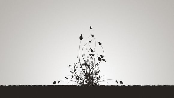 如何禁用server服务