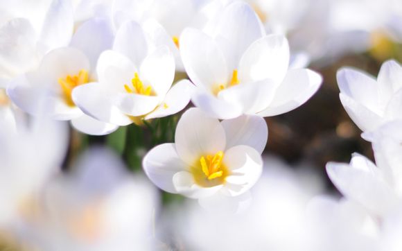 浪涌测试等级